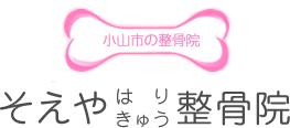 株式会社　SOEYA【そえやはりきゅう整骨院】